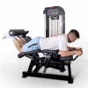   /   Protrain CP137    vasil-gym - 