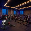 ���������� ������������ PREMIER PROF-M ����-���� ���������������� vasilgym - �����������