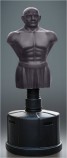 ������������ ������� ������ ���������� ������������� DFC Boxing Punching Man-Medium (����) - �����������