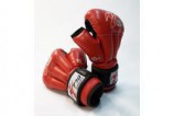 �������� ��� ����������� ��� FIGHT-1 �4�� - �����������