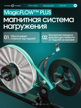 ������������� �������� �������� OXYGEN FITNESS ALAMOSA ���������������� ���������  - �����������