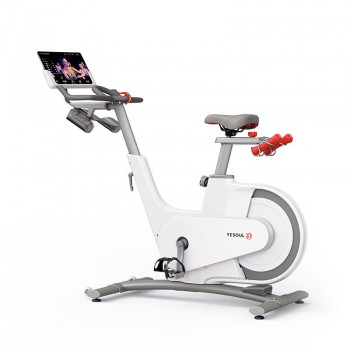 ������������ YESOUL Smart Spinning bike V1 ����� V1 WHITE ����-���� - �����������