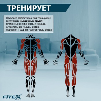 ���������� ������������ PREMIER PROF-M ����-���� ���������������� vasilgym - �����������
