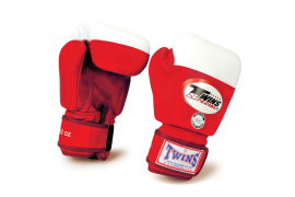 �������� ������������� BGVL-2 - �����������